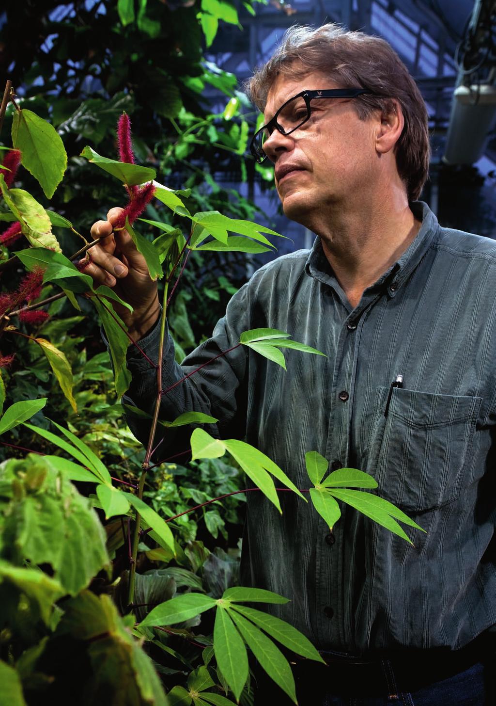 Professor Johan Ehrlén, Stockholms universitet, botaniska institutionen, har projektbidrag från Vetenskapsrådet.