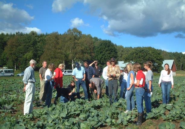 Odlingssystemets Ekologi Gröngödsling som mångfunktionellt redskap i grönsaksodlingen Dokumentation från sommarresan i Halland 24 25 augusti 2003 Besök på Bössgård söndag 24 augusti Jonas Jonsson