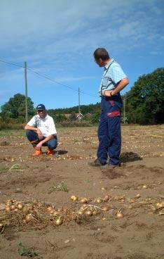 Visning av Björkekullen, Kulturgården Bråtadal måndag 25 augusti Vi får en visning av Bråtadal, en ekologisk kulturgård, belägen i Björkekullens naturreservat. Gårdens historia går tillbaka 150 år.