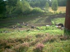 Bråtadal är en plats med ett välbevarat småskaligt jordbrukslandskap, små åkrar, terrasser och många, långa stengärsgårdar.