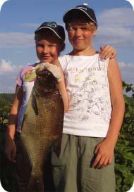 Aktuellt från ungdoms/träningskommittén Ungdomsverksamheten är organiserad i tre grupper: storfräsare, mellanfräsare och OL-skolan.