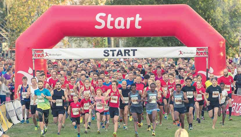 29 AUGUSTI TINGVALLA IP Spring för livet alla kan vara med! 29 augusti var med du också! Varmt välkomna till Blodomloppet i Karlstad den 29 augusti!