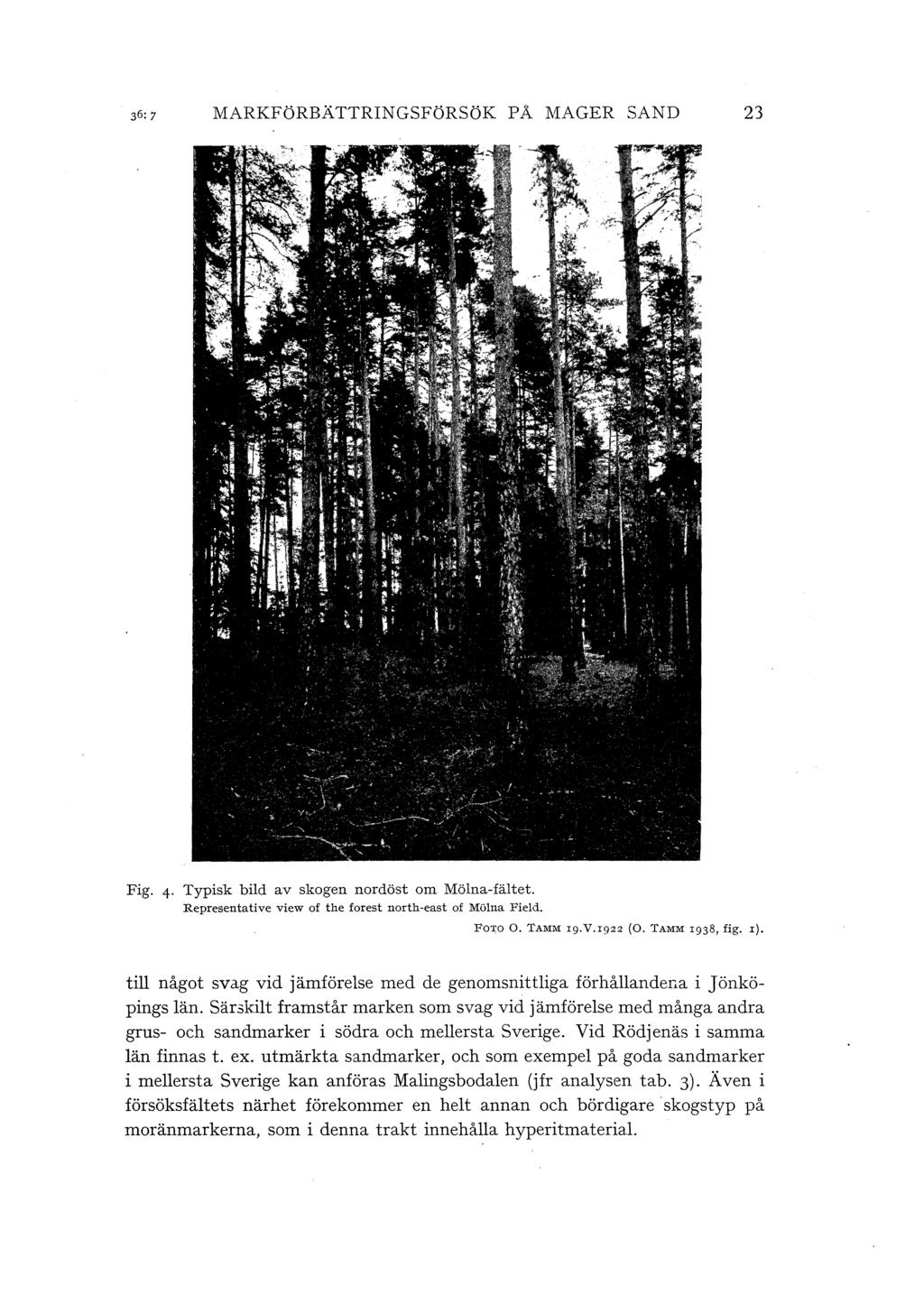 MARKFöRBÄTTRINGSFöRSöK PÅ MAGER SAND 23 Fig. 4 Typisk bid av skogen nordöst om Möna-fätet. Representative view of the forest north-east of Möna Fied. FOTO 0. TAMM rg.v.rg22 (0. TAMM I938, fig. r).