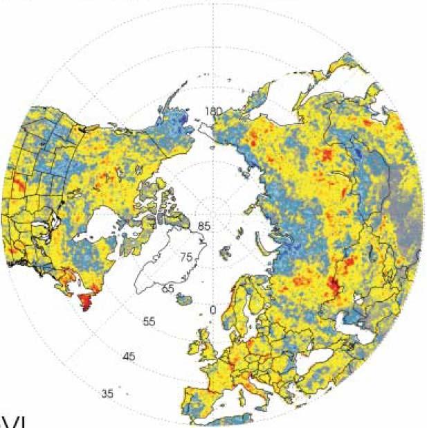 Mätningar med satelliter visar att vegetationstäcket i nordliga breddgrader blivit grönare/lummigare sedan början av 8-talet Ökad