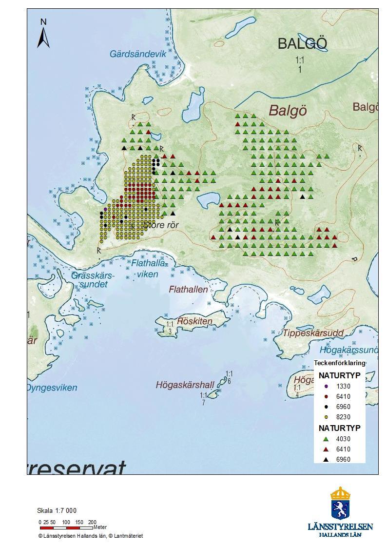 UPPFÖLJNINGSRESULTAT FÖR NATURA 2000 - OMRÅDEN 1. Naturreservat Balgö Balgö är en knapp 200 ha stor flack ö som ligger norr om Varbergs stad.