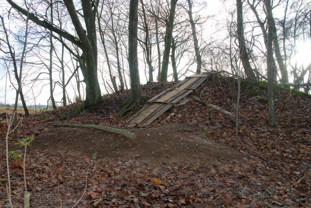 Figur 2. Gravhögen Laholms stad 10:1 gränsar till utredningsområdet. I nutid uppenbarligen brukad såsom hoppbacke av frustrerade slättbygdsbarn (Fotonr. 2014-3-4). Foto Ola Kadefors.