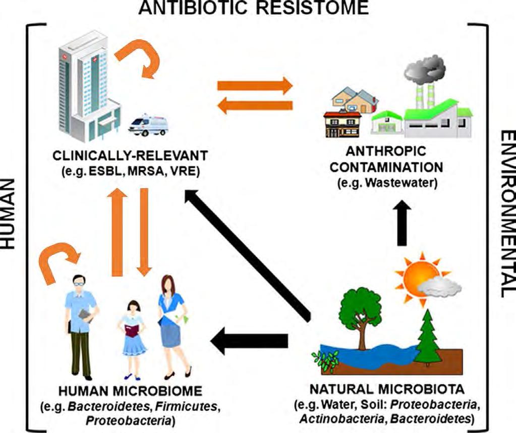 Transmission of antibiotic resistance Etablerade smittvägar för antibiotikaresistens Ytterligare