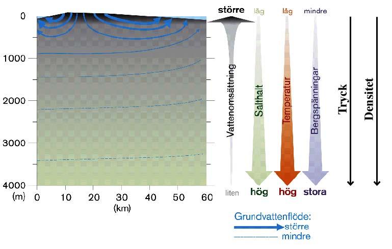 Schematisk modell