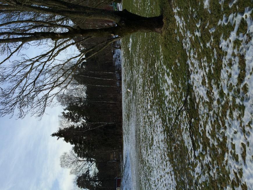 Foto: Parkliknande gräsyta Foto: Trädallé. Geotekniska förhållanden Enligt SGU:s jordartskartering består planområdets mark av glacial lera.