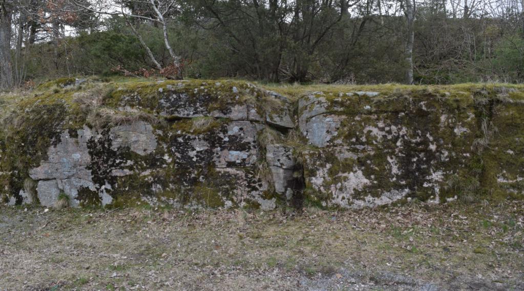 /50-90 ) med ett sprickavstånd på ungefär 2-4m. Figur 5 visar en bergrygg med brant stående sprickor och uppsprickning längs foliationsplanet.