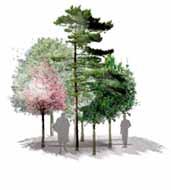 Kompletterande skogsplantering Nyplantering av ek Blommande fruktträd Tallsolitärer Trädgårds- och odlingskaraktär Perennplantering Vegetation