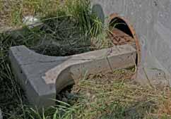 spridningsvägar. Stärkande av befintliga ekmiljöer och spridningssammanhang genom nyplantering av ek.