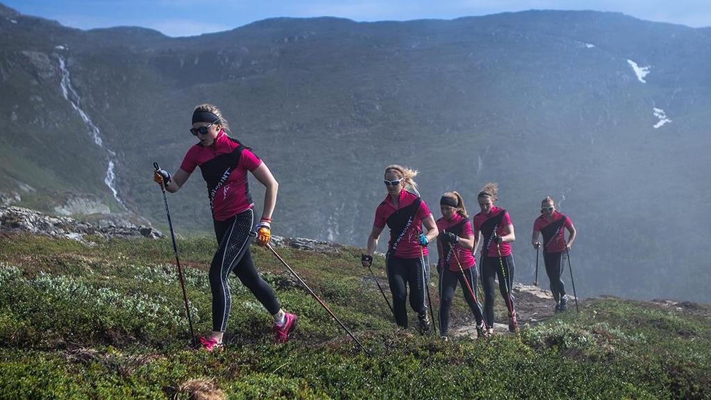 Att driva viktiga frågr på IBU kngressen i september 2018 Att genmföra en ungdmsknferens i samband med VM 2019 Genmföra ett Future Stars Seminar för ökad aktivitet inm Gd Gvernence ch internatinellt