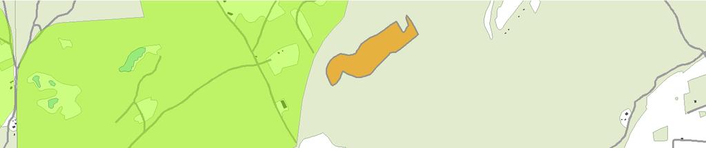 n Gustafsfältet Risintresse naturvård