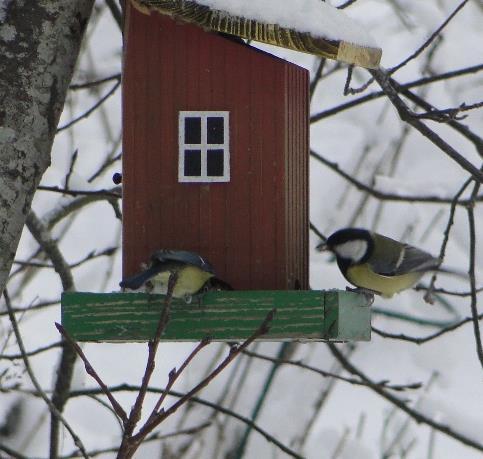 reformationen och det nordiska samhället använt sig av vid uppbyggandet av den nordiska samhället och välfärden.