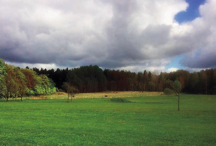 Arkeologgruppen AB rapport 2016:40 Figur 4. Översikt över den norra delen av utredningsområdet, med boplatsläget objekt 1 i fonden. Foto av Arkeologgruppen AB.