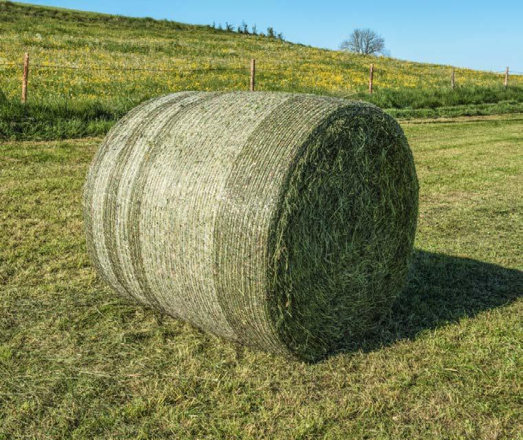 EasyLoad-systemet gör det möjligt att byt nätrulle på nolltid. VarioNet-nätsystemet fungerar med alla standardnätbredder mellan 1,18 och 1,35 m.