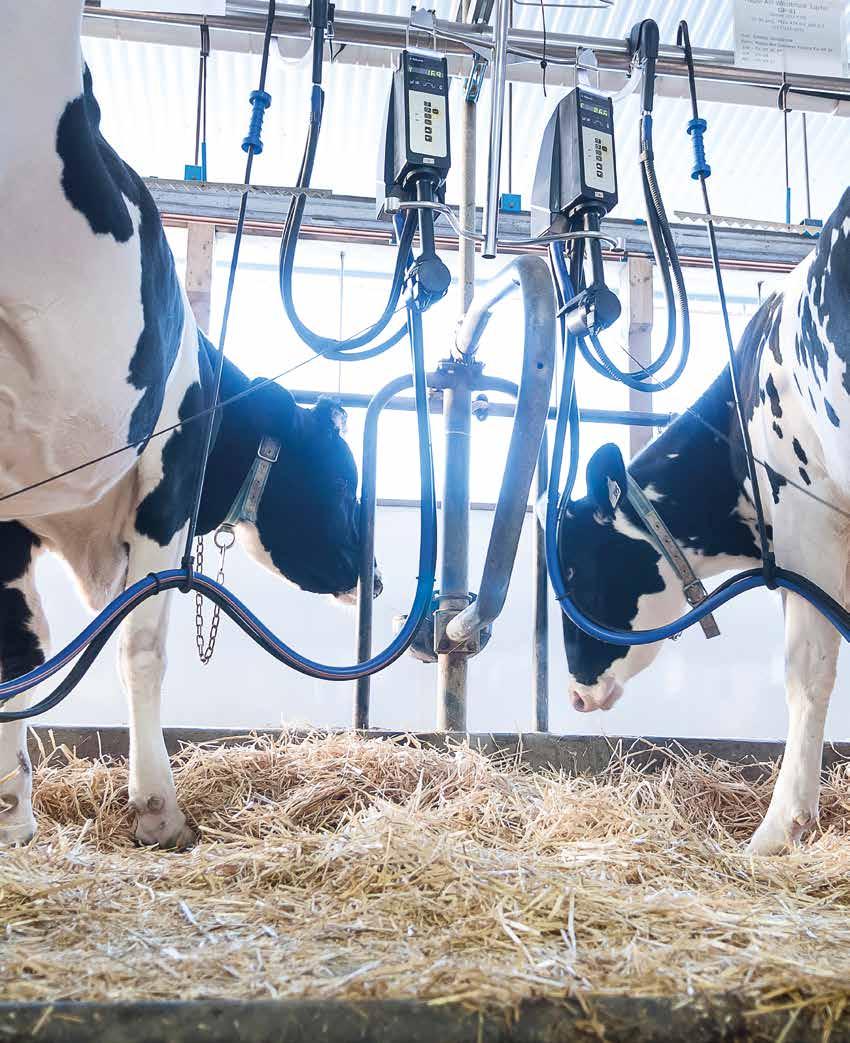Stalltipset 1 2017 www.delaval.se Nyhet!