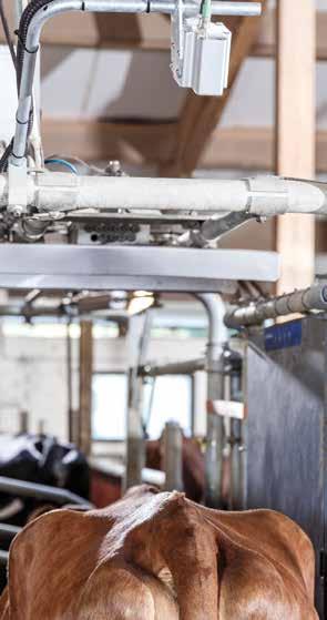 DeLaval body condition scoring BCS: daglig, automatisk hullbedömning av dina kor Uppstart och hjälp av Växarådgivare att komma igång ingår i köpet.