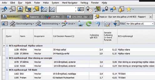 Sedan hösten 2016 har vi testat en ny SOP rutin för slaktdjur från DeLaval som innebär att när vi lägger in en ko på slaktlistan så får vi automatiskt en att-göra-lista för samtliga slaktdjur.