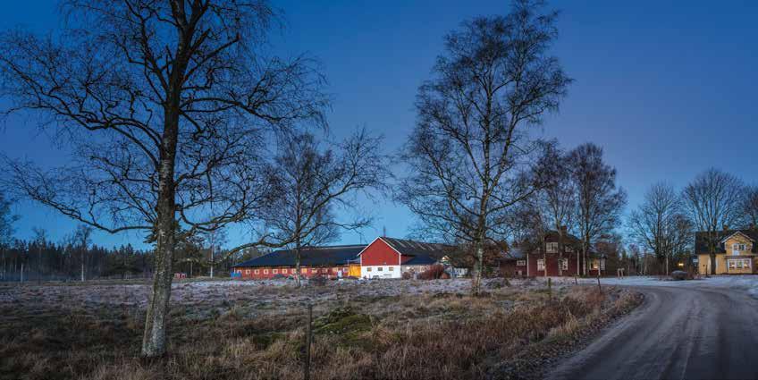 Vad tycker du är den största utmaningen med att driva en mjölkgård? Lönsamheten är en utmaning, att vara kostnadseffektiv hela tiden och ta rätt beslut. Man måste jobba med det man själv kan påverka.