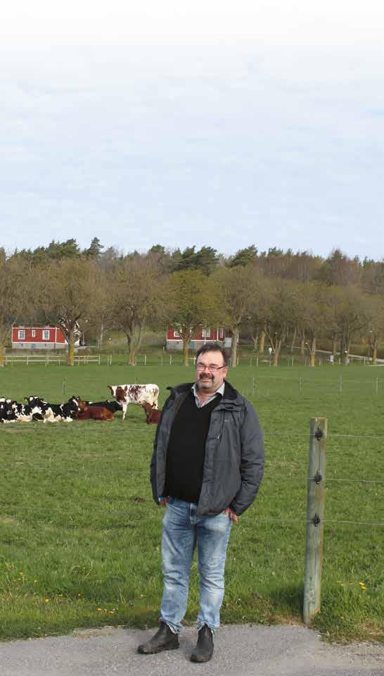 När spengummin har passerat 2 500 mjölkningar har de passerat bäst-före-dagen Vi har intervjuat Henrik Norberg om hans erfarenheter när det gäller spengummi.