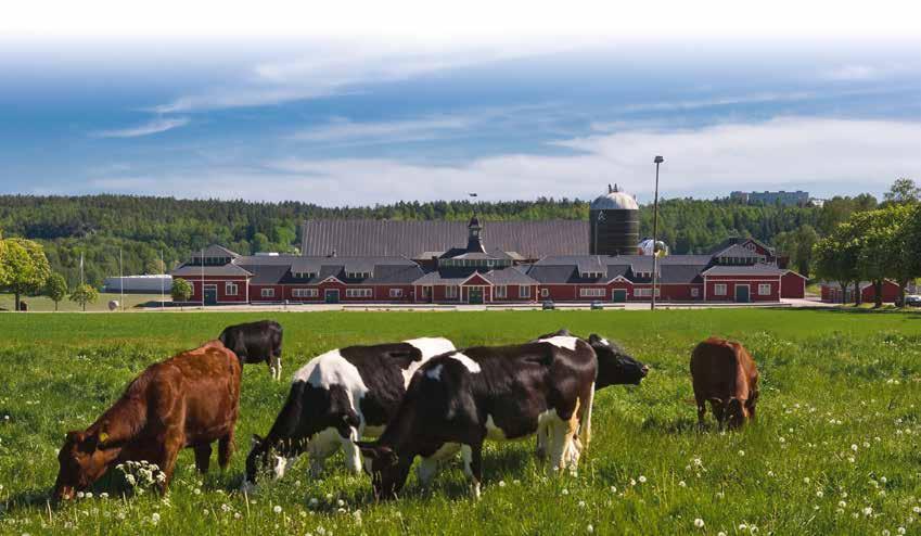 Avsändare: DeLaval Sales AB Box 21 147 21 Tumba Henrik på Hamra Gård får guldmedalj av Kungen Mjölk av högsta kvalitet från ladugårdar i utvecklingens framkant Adresserad direktreklam SVERIGE PORTO