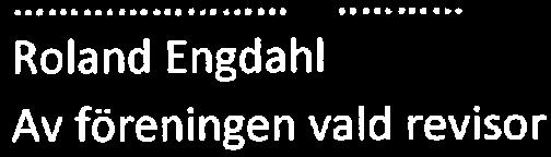 Vår revisinsberättelse