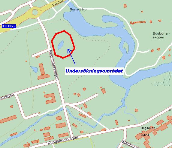 2.3 Undersökningsområdet Det undersökta området är beläget i närheten av Teknikparken i Gävle och består av park-, vatten- och skogsområden med en areal på ca 3500 m² (figur 1). Figur 1.
