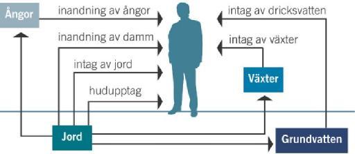 Ort/Datum Uppdrag Göteborg 2015-03-20 332667 Vår referens Helena Holgerson Figur 1 visar de exponeringsvägar som beaktas i modellen.