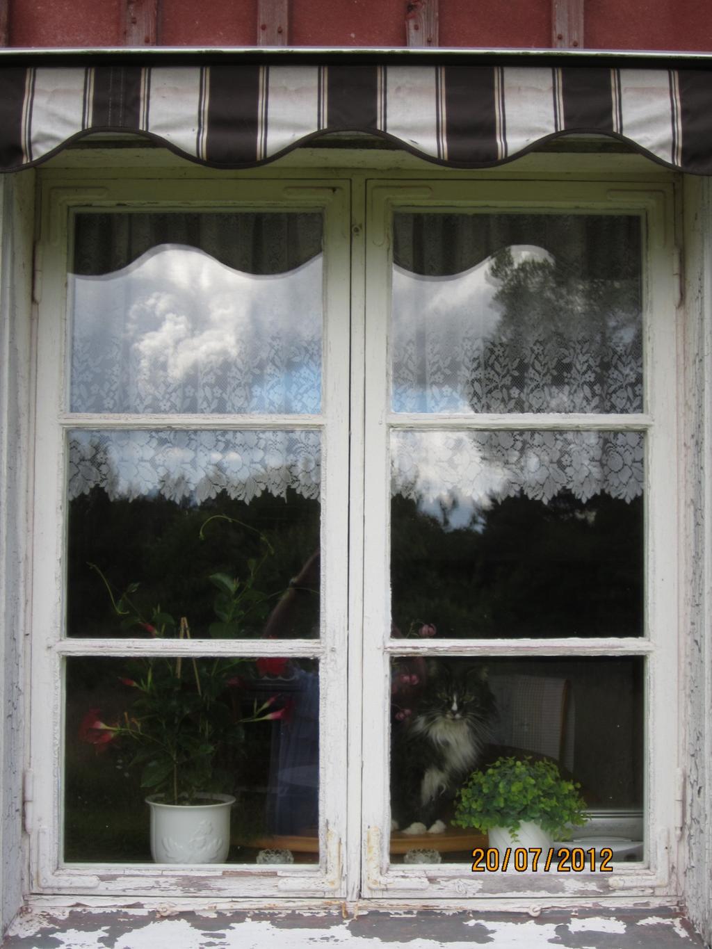 Den gamla drängsstugan. Visst är gardinerna traditionella. Här kommer ett fönster till.