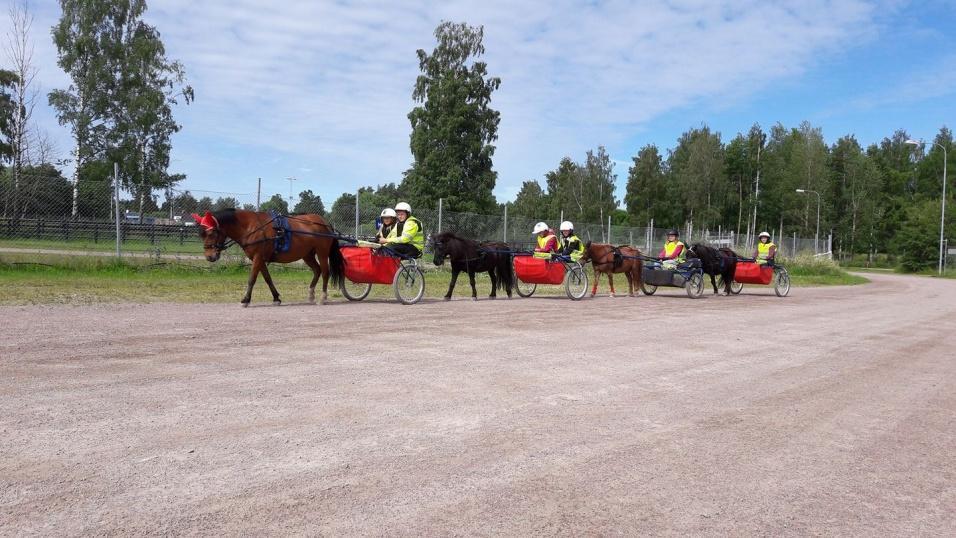 Onsdag 15.30-16.00 Prova på ridning - Kanske är någon extra sugen på att prova på att rida under höstlovet? Anmälan till kansliet i vanlig ordning, kostar 145 kr 16.15-17.