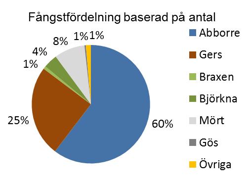 Fångsten dominerades av abborre till vikt (56 %) och antal (60 %) och. Den näst dominerande arten var gers till antalet (25 %) och mört till vikt (17 %, Fig. 3).