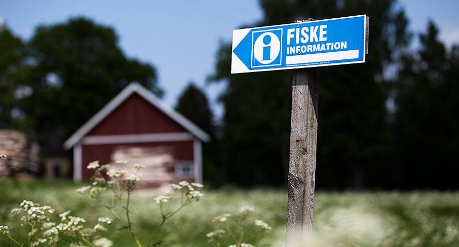 FISKEVÅRDSOMRÅDEN FISHERY CONSERVATION AREAS FISCHZUCHTVEREINE 19) HALLASJÖN m.fl.