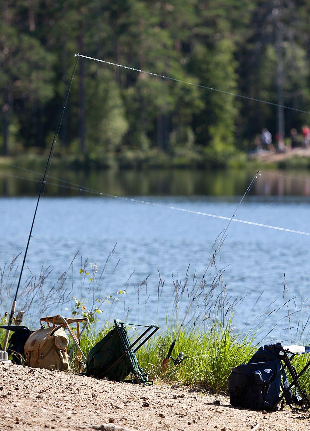 FISKE fishing angeln Gislaveds kommun erbjuder med sina 388 sjöar och flera vattendrag ett spännande fiske efter bland annat abborre, gädda och gös.