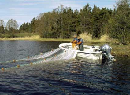 Bild 3.5. Notdragning vid Simpevarp. Foto genom Kustlaboratoriet. Avsikten är att till slut nå en basnivå för den återstående drifttiden.