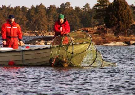 och egna, vetenskapligt upplagda provfisken. Journalföringen var tänkt att utgöra det primära underlaget för skadereglering.