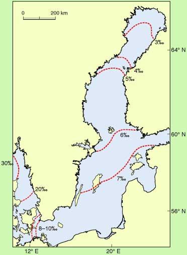 I Öresund, som påverkas både av Kattegatt och Östersjön, varierar temperatur och salthalt med strömmens riktning och läget i sundet. Strömmen kan vara kraftig och ändra riktning ofta.