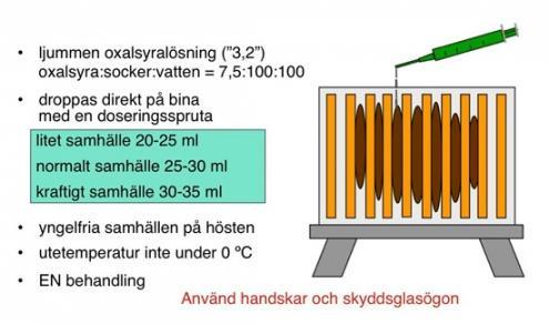 Drönarram är en ram utan mellanvägg som bina fyller med drönarceller. Precis täckta skärs dessa ut.