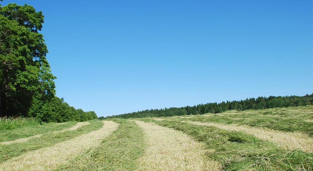 Uppdrag Att bidra till lönsamheten på våra ägares gårdar och optimera avkastningen på deras kapital i Lantmännen. Syfte / mission Vi skapar ett livskraftigt lantbruk.