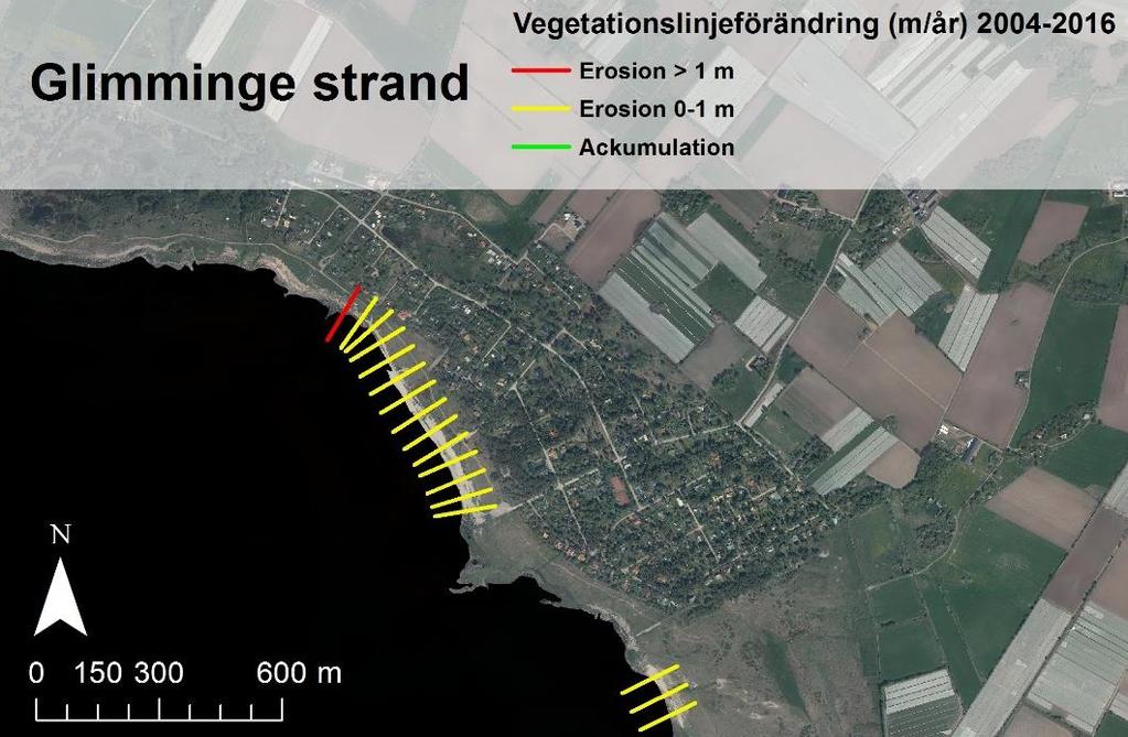 4.3 Glimminge strand Glimminge strand uppvisar i vegetationslinjeanalysen generellt en måttlig erosion (Figur 4-4).