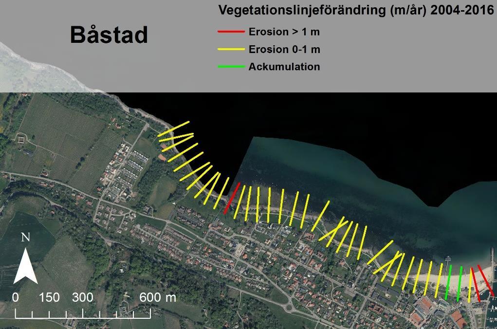 4.5 Båstad Vegetationslinjeanalysen av kustremsan från Båstad och västerut visar generellt en måttlig tillbakadragning av vegetationslinjen (Figur 4-6).