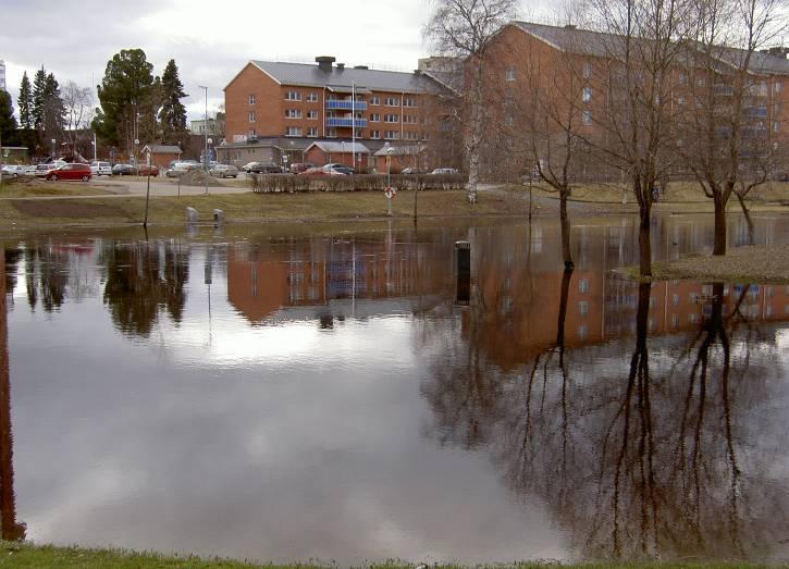 Dnr:466/12 Ansvar för omprövning Omprövning