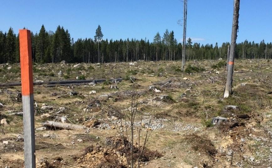 Nummerlappar Hämtas vid startområdet från klockan 08:00 till klockan 09:45. Under loppet ska nummerlappen bäras synlig hela tiden så att avprickning lätt kan göras vid vätskekontrollerna.