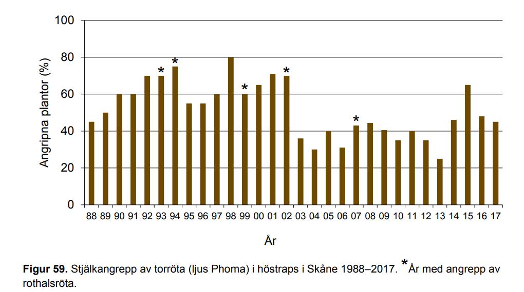 Stjälkangrepp av torröta