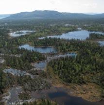 3876 Iksjak Kommun Arjeplog Totalareal 9 833 ha Naturgeografisk region 33h Areal land 8 780 ha Objektskategori U2 Areal vatten 1 053 ha Markägare Fastighetsverket Areal produktiv skogsmark 4 368 ha