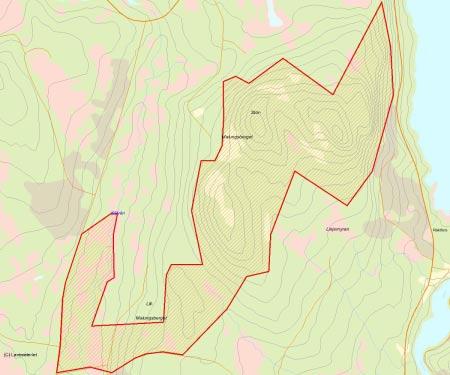 Länsstyrelsens bedömning Malungsberget domineras av urskogsartad tallskog i ett geologiskt intressant område med hällar och klapperstensfält där påverkan av skogsbruk i kärnområdet är relativt låg.