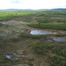 3880 Änamusjaure Kommun Arjeplog Totalareal 475 ha Naturgeografisk region 33h Areal land 444 ha Objektskategori Fj Areal vatten 31 ha Markägare Fastighetsverket Areal produktiv skogsmark 22 ha