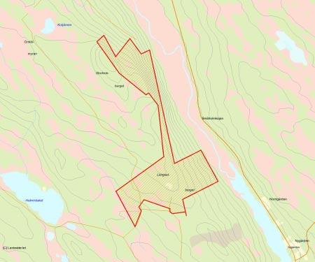 Länsstyrelsens bedömning Storkrokberget är ett för trakten mycket speciellt område med stor andel urskogsartade miljöer.