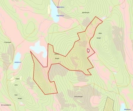 Länsstyrelsens bedömning Såckosberget är trots sin flikiga form ett område med höga skyddsvärden. Skogen i området är övervägande gammal och urskogsartad.